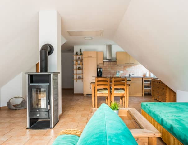 Ferienwohnung-Ostseenixe-04-Wustrow-7